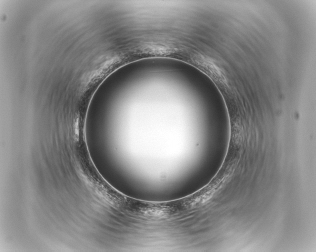 X0000088170358200705151154