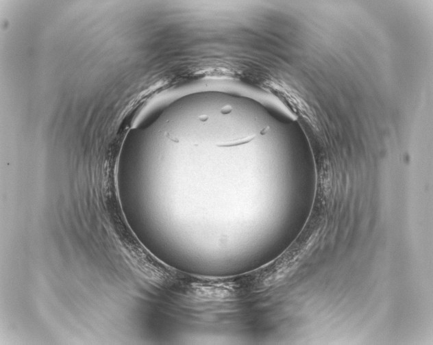 X0000088170359200705151154