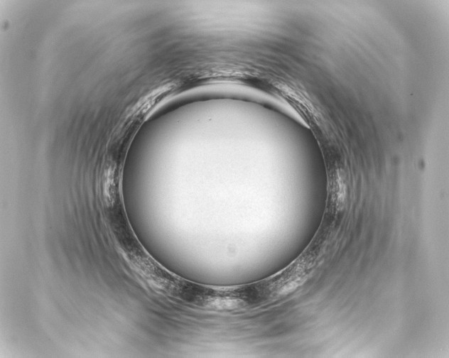 X0000088170360200705151154