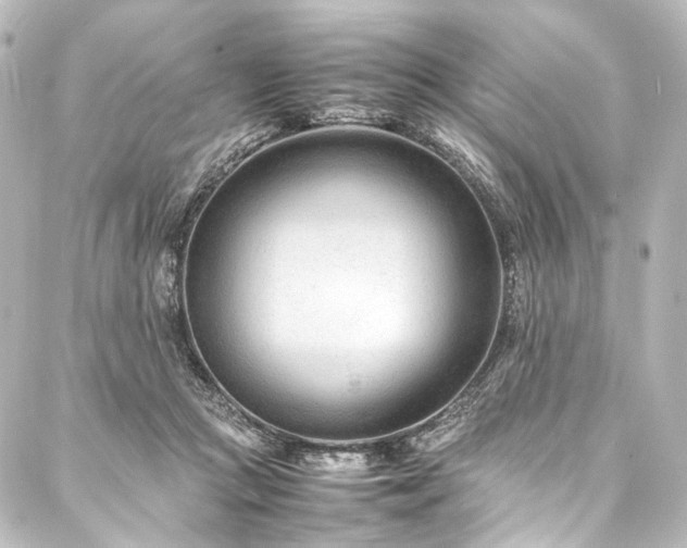 X0000088170361200705151154