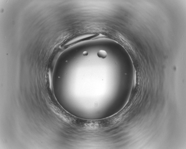 X0000088170362200705151154