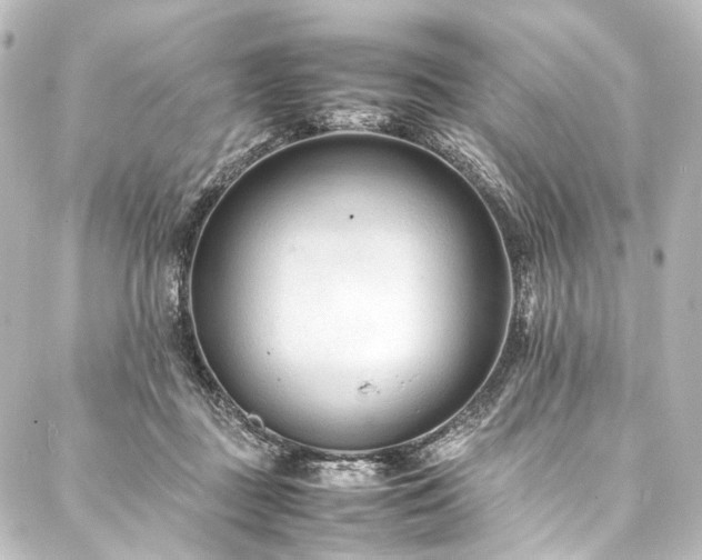 X0000088170363200705151154