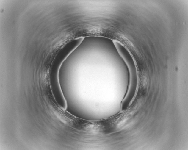 X0000088170364200705151154