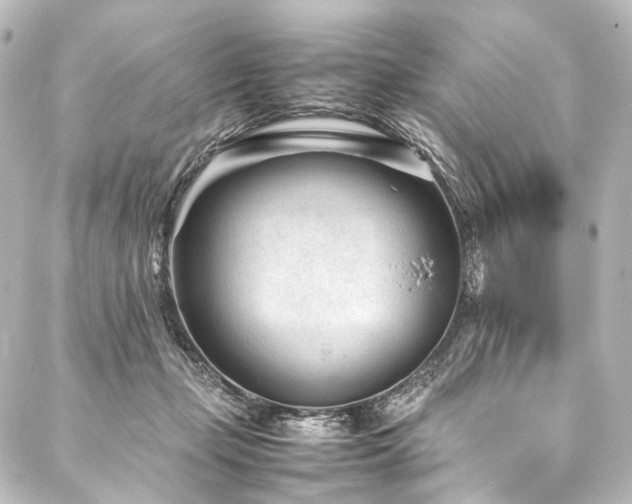 X0000088170365200705151154