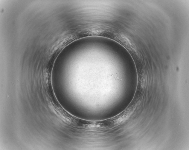 X0000088170366200705151154