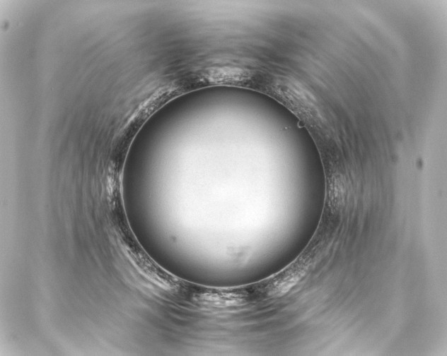 X0000088170367200705151154