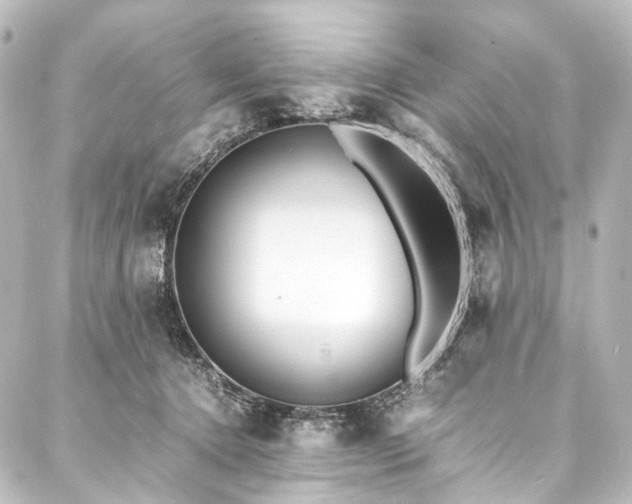 X0000088170368200705151154