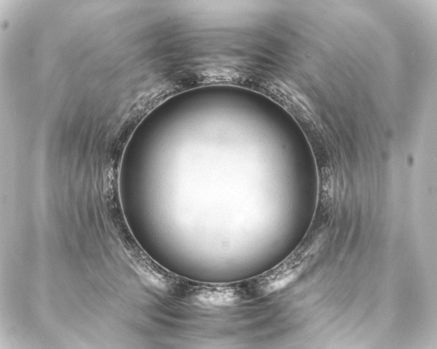 X0000088170369200705151154