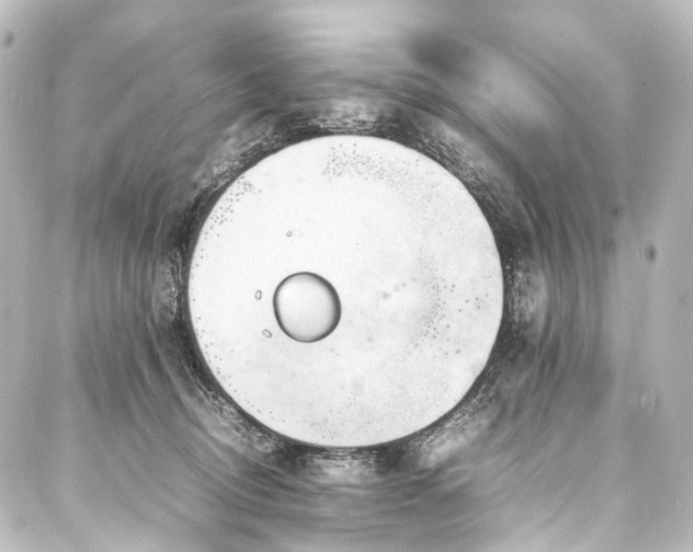 X0000088170370200705151154