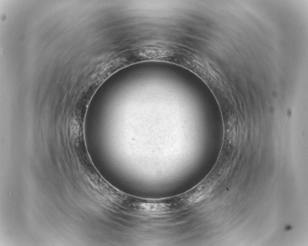 X0000088170371200705151155