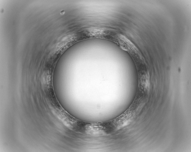 X0000088170372200705151155