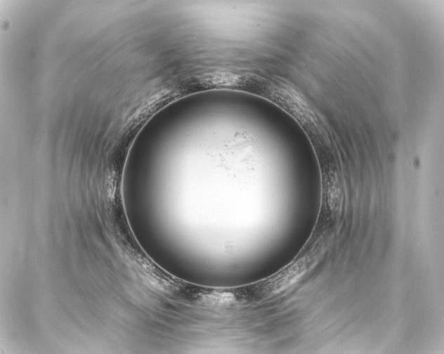 X0000088170374200705151155