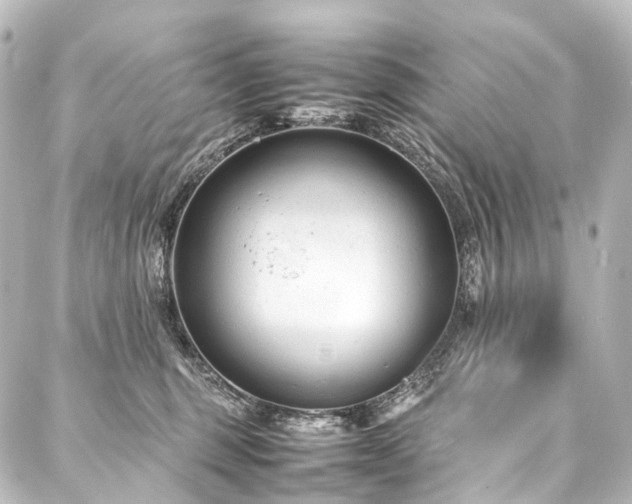 X0000088170375200705151155