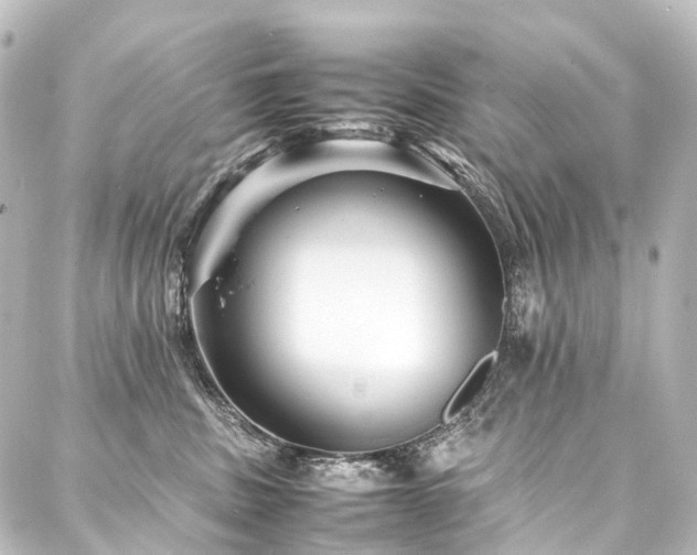 X0000088170379200705151155