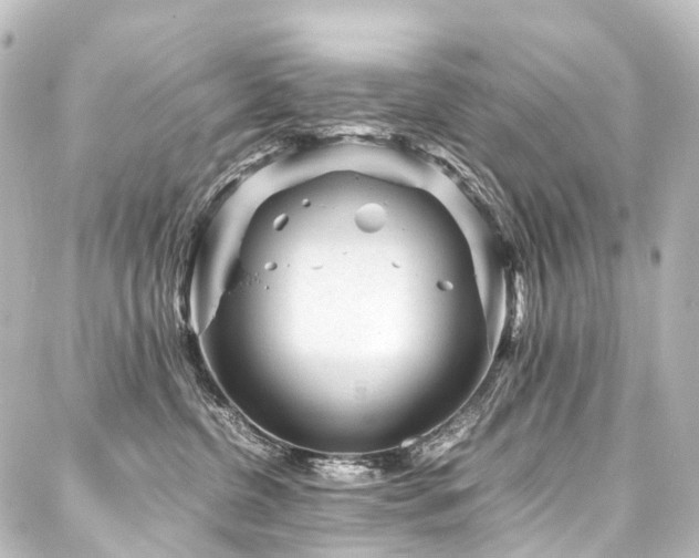 X0000088170380200705151155