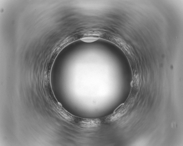 X0000088170381200705151155