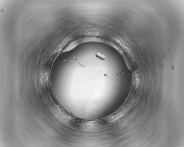 X0000088170382200705151155