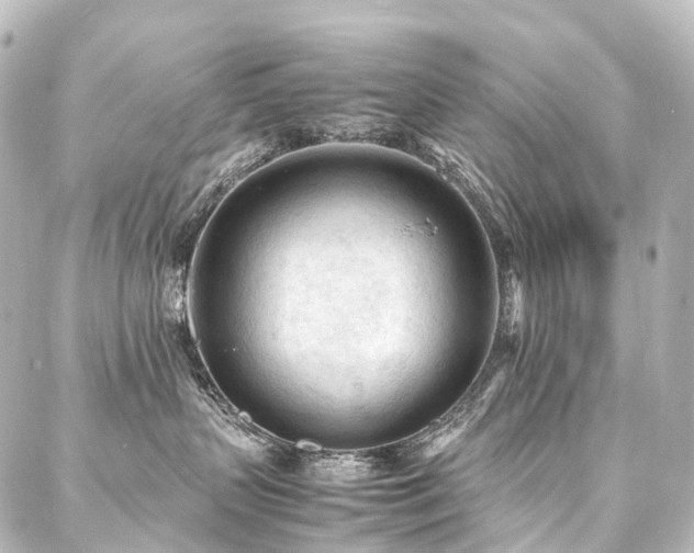 X0000088170383200705151155