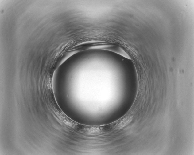 X0000088170384200705151155