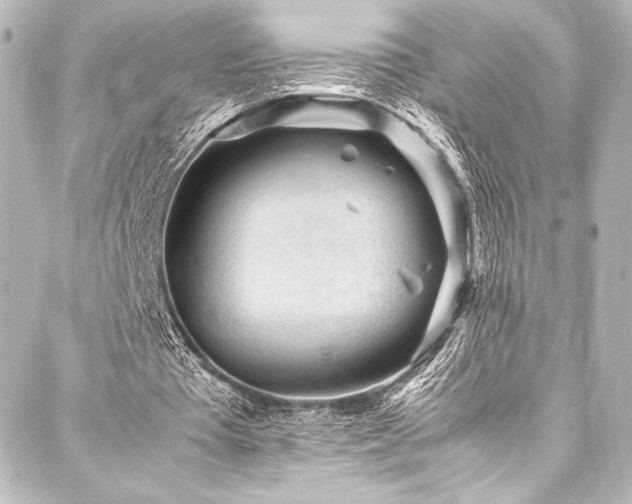 X0000088170385200705151154