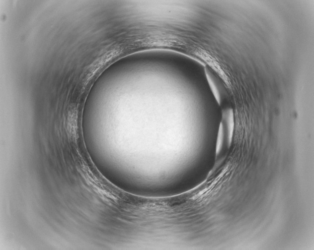 X0000088170386200705151154