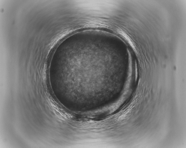 X0000088170387200705151154