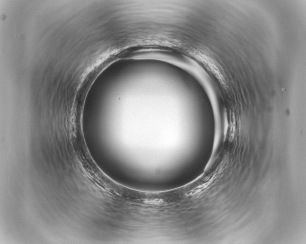 X0000088170388200705151154