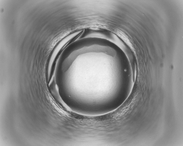 X0000088170389200705151154