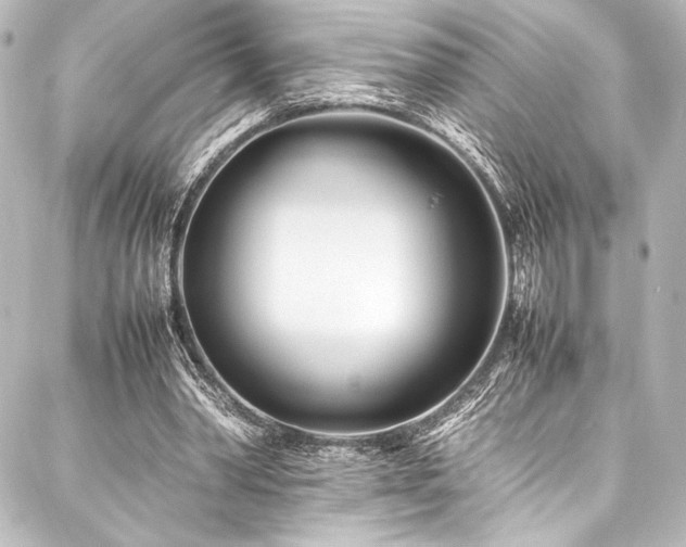 X0000088170390200705151154