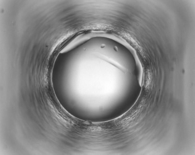 X0000088170392200705151154