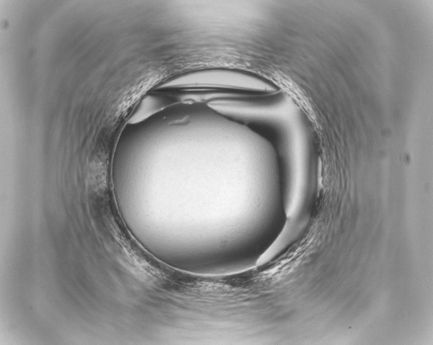 X0000088170393200705151154