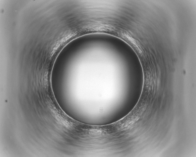 X0000088170394200705151154