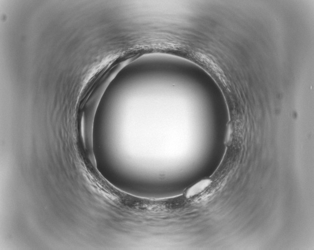 X0000088170395200705151154