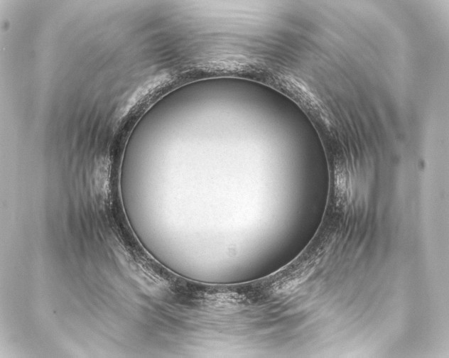 X0000088170396200705151154