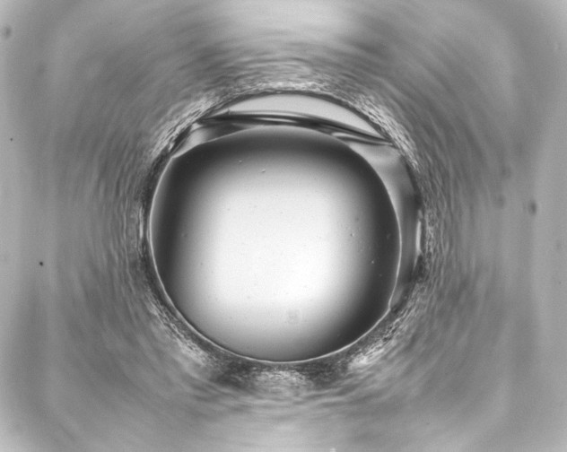 X0000088170397200705151154