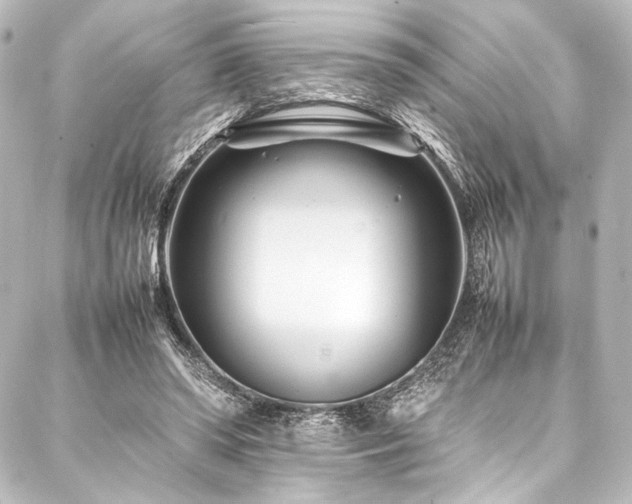 X0000088170398200705151154