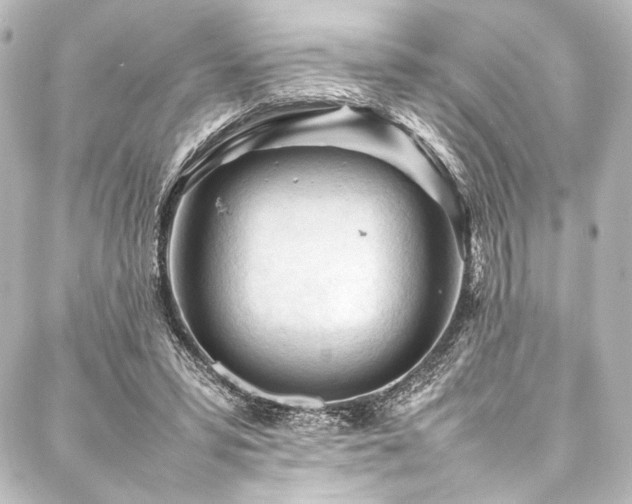 X0000088170399200705151154