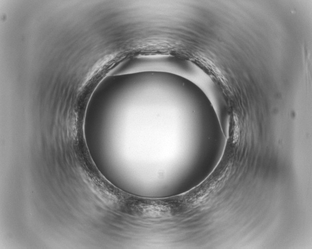 X0000088170400200705151154