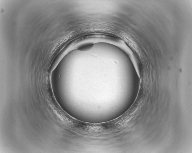 X0000088170401200705151154