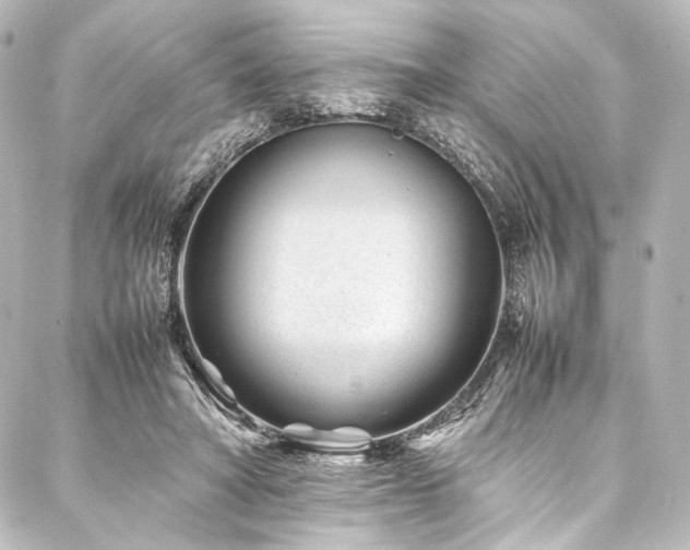 X0000088170402200705151154