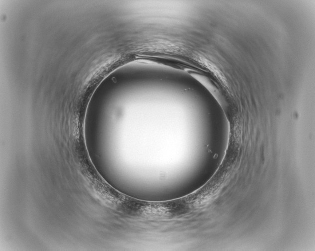 X0000088170403200705151154