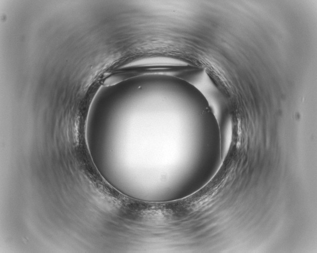 X0000088170404200705151154