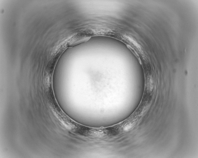 X0000088170405200705151154