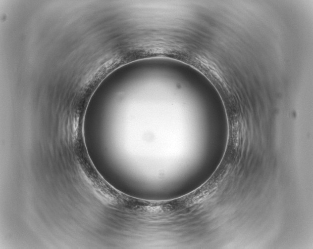 X0000088170406200705151154