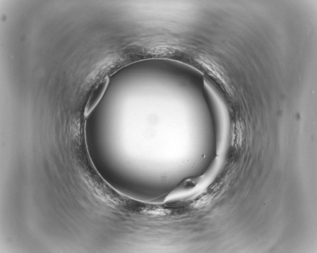 X0000088170407200705151154