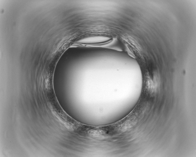 X0000088170408200705151154