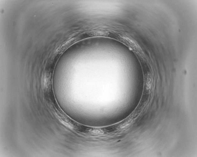 X0000088170409200705151154