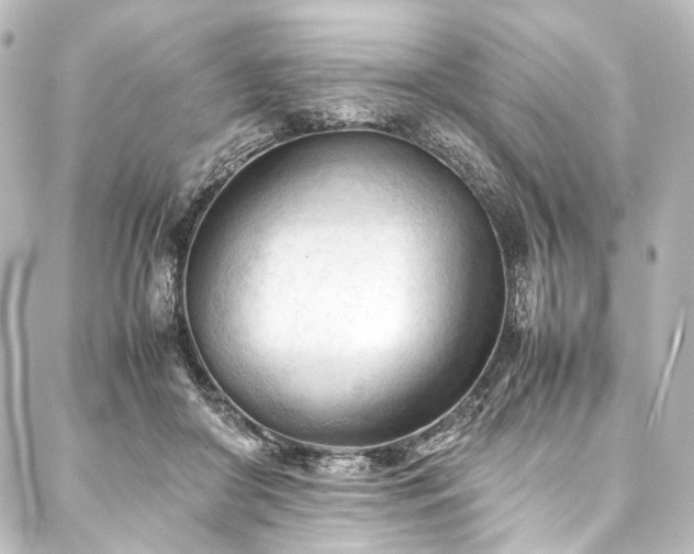 X0000088170410200705151154