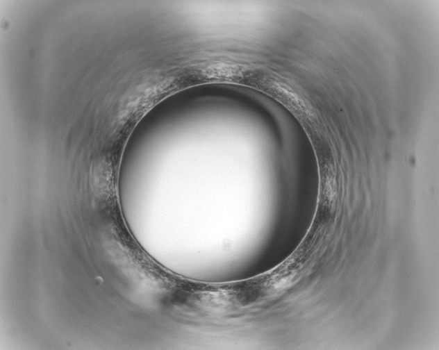 X0000088170411200705151154