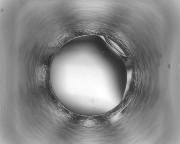 X0000088170412200705151153